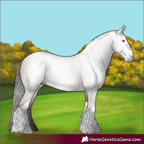 Horse Color:Gray Amber Champagne Tobiano 