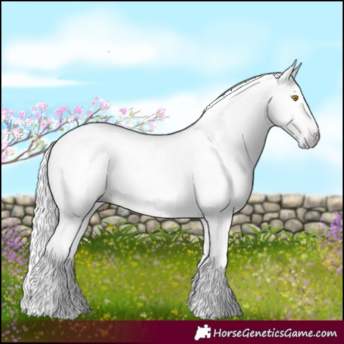Horse Color:Gray Amber Champagne Tobiano 