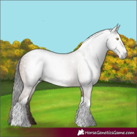 Horse Color:Gray Amber Champagne Tobiano 