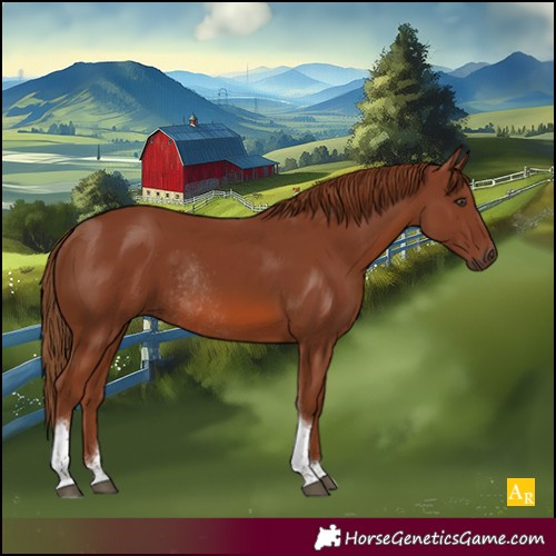 Horse Color:Chestnut Tobiano Rabicano 