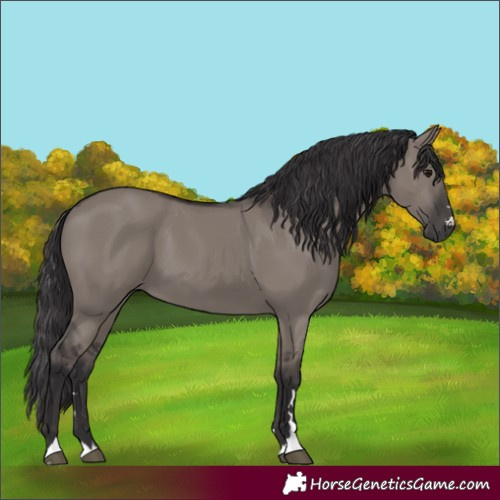 Horse Color:Smoky Grullo 