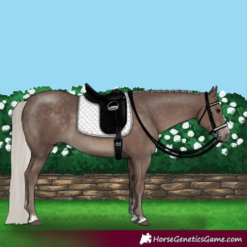 Horse Color:Silver Black 