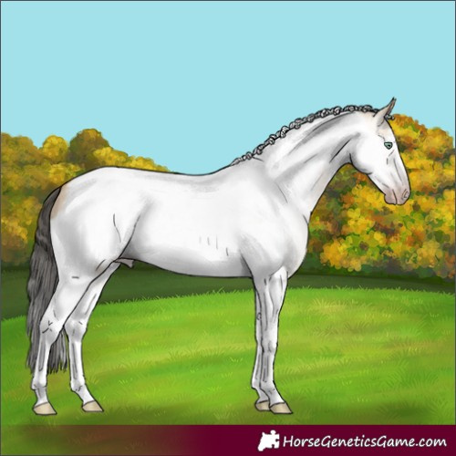 Horse Color:Gray Amber Cream Champagne Dun Tobiano Frame 