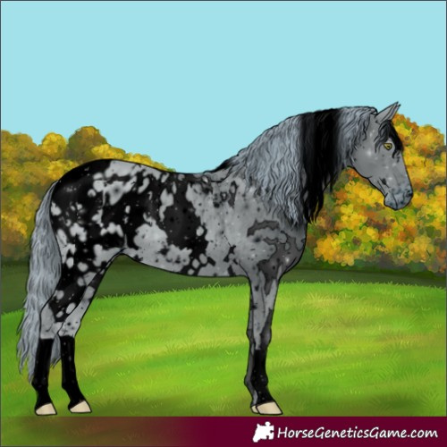 Horse Color:ERROR: UNKNOWN ANOMALY