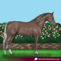 Horse Color:Silver Black