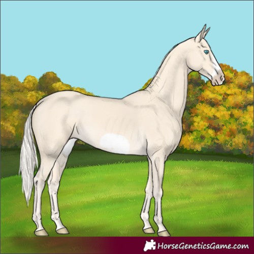 Horse Color:Cremello Frame