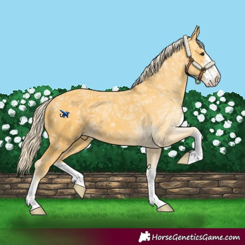 Horse Color:White Spotted Palomino Ice