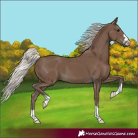 Horse Color:Silver Black 