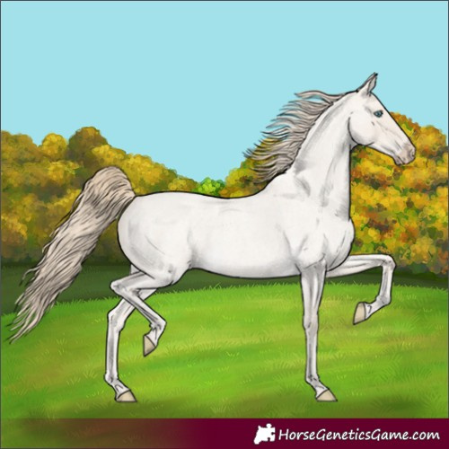 Horse Color:Smoky Creme Roan Dun 