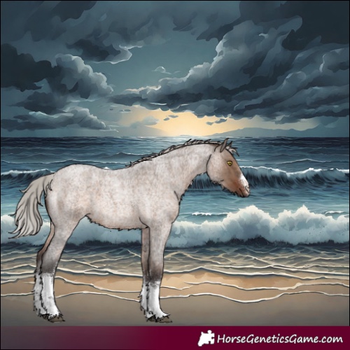 Horse Color:White Spotted Silver Brown Roan Dun