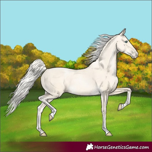 Horse Color:Gold Cream Champagne Pearl 