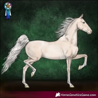 Horse Color:Gold Cream Champagne Pearl Sabino Rabicano 
