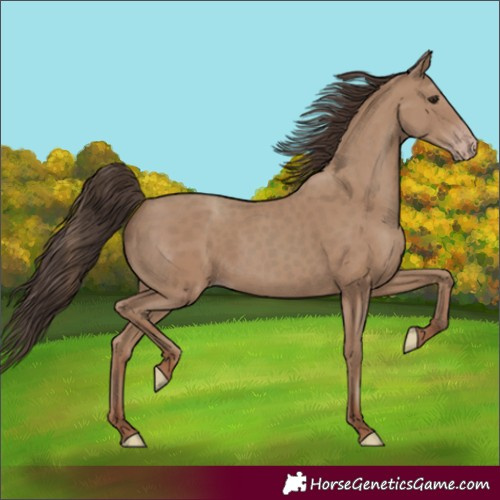 Horse Color:Classic Champagne