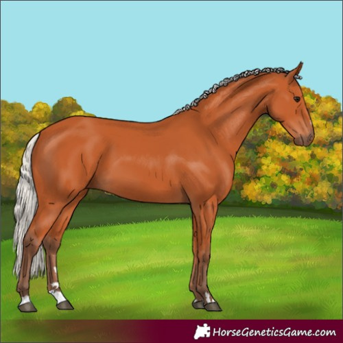 Horse Color:Silver Bay