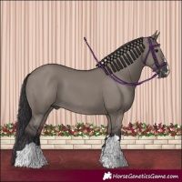 Horse Color:Smoky Grullo