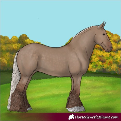 Horse Color:Silver Grullo 