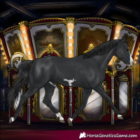 Horse Color:Black Splash Frame 