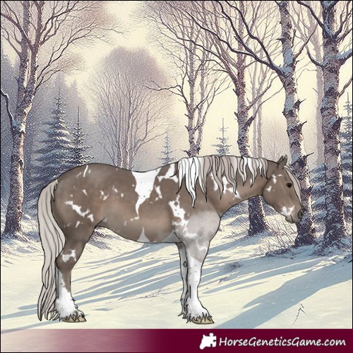 Horse Color:White Spotted Silver Black Tobiano 