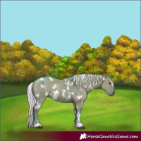 Horse Color:Watercolor White Spotted Silver Grullo Mushroom Brindle 