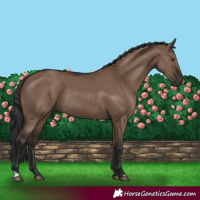 Horse Color:Liver Red Dun Rabicano