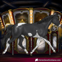 Horse Color:Black Tobiano Frame