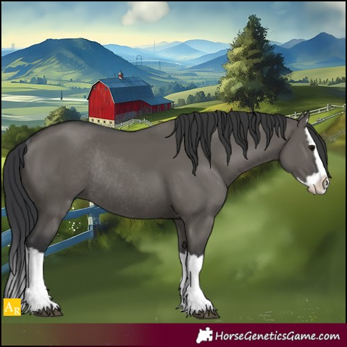 Horse Color:Grullo Splash Rabicano 