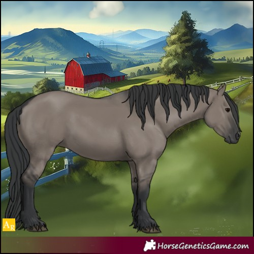 Horse Color:Grullo Rabicano 