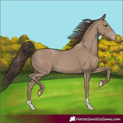 Horse Color:Classic Champagne 