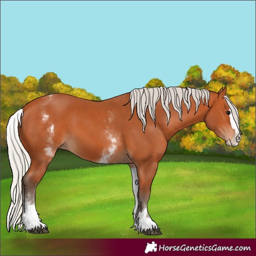 Horse Color:White Spotted Silver Bay Splash 