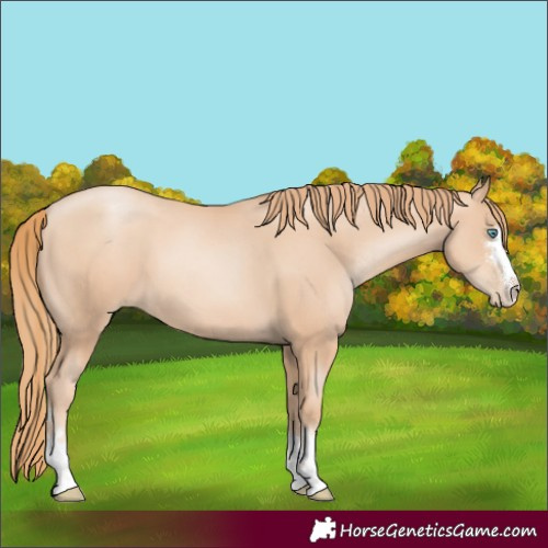 Horse Color:Gold Champagne Pearl 
