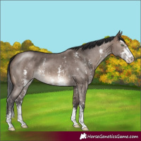 Horse Color:Brown Dun Mushroom Sabino Brindle 