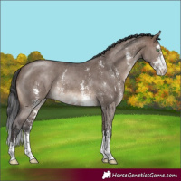 Horse Color:Brown Dun Mushroom Sabino Brindle