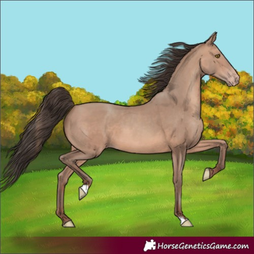 Horse Color:Sable Champagne
