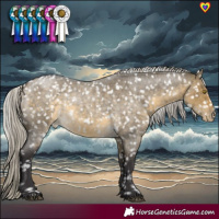 Horse Color:Silver Buckskin Roan Dun Snowflake Varnish Rabicano 