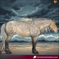 Horse Color:Silver Buckskin Roan Dun Appaloosa Rabicano 