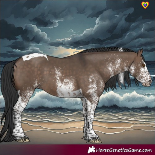 Horse Color:White Spotted Brown Dun Tobiano