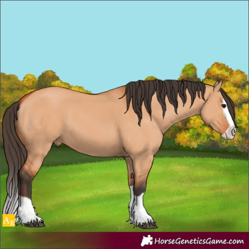 Horse Color:Bay Dun Splash 
