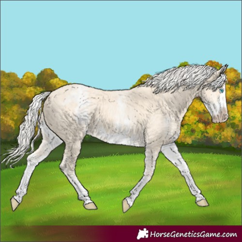 Horse Color:White Spotted Cremello Frame 
