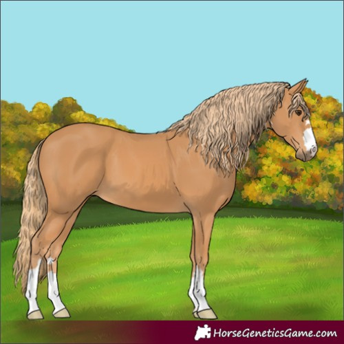 Horse Color:Unknown 