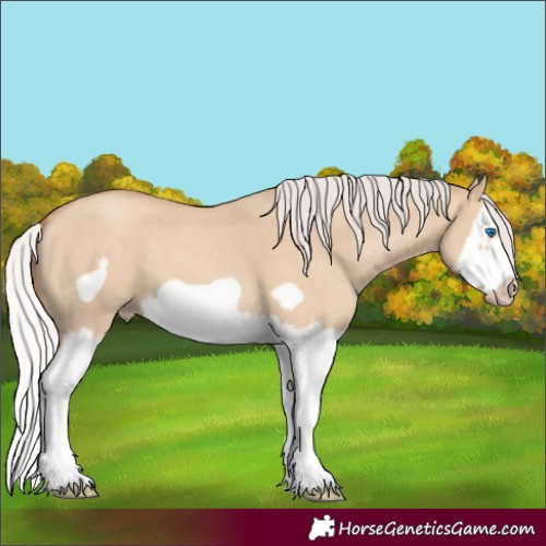 Horse Color:Silver Classic Champagne Dun Splash Frame 
