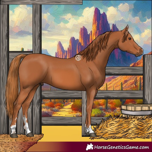 Horse Color:Chestnut 