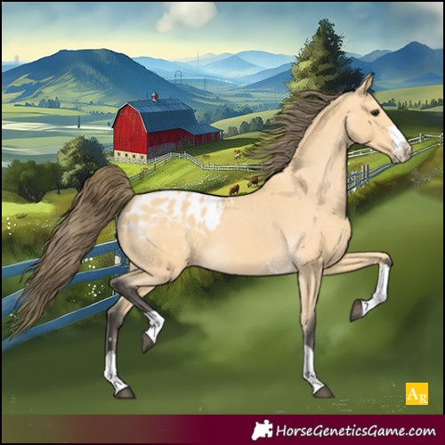 Horse Color:Buckskin Blanket 