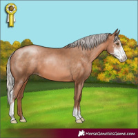 Horse Color:Silver Brown Pearl Sabino
