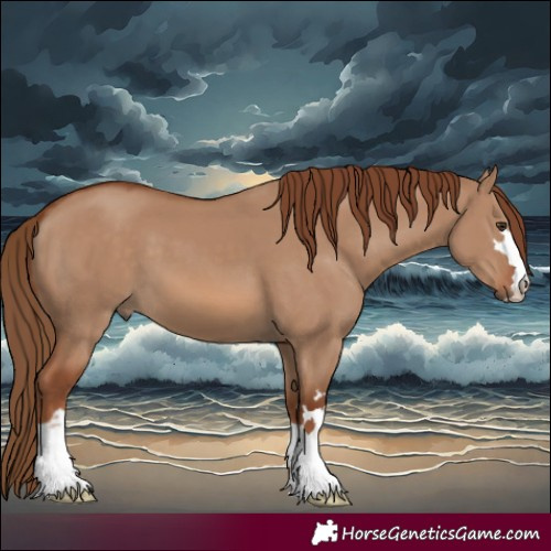Horse Color:Red Dun 