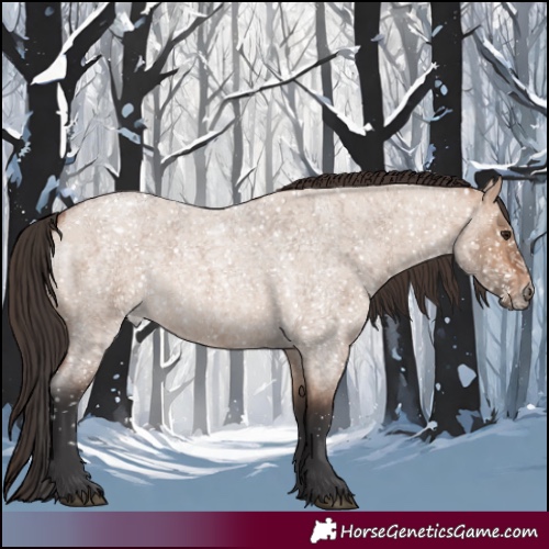 Horse Color:Bay Roan Dun 