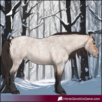 Horse Color:Bay Roan Dun 