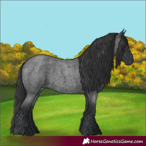Horse Color:Blue Roan 