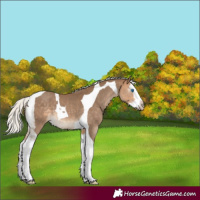 Horse Color:Gray Silver Perlino Mushroom Splash Tobiano