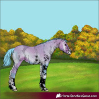 Horse Color:Void Watercolor White Spotted Bay Ice Onyx 