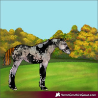 Horse Color:Void Painted Watercolor Bay Ice Onyx Tobiano 
